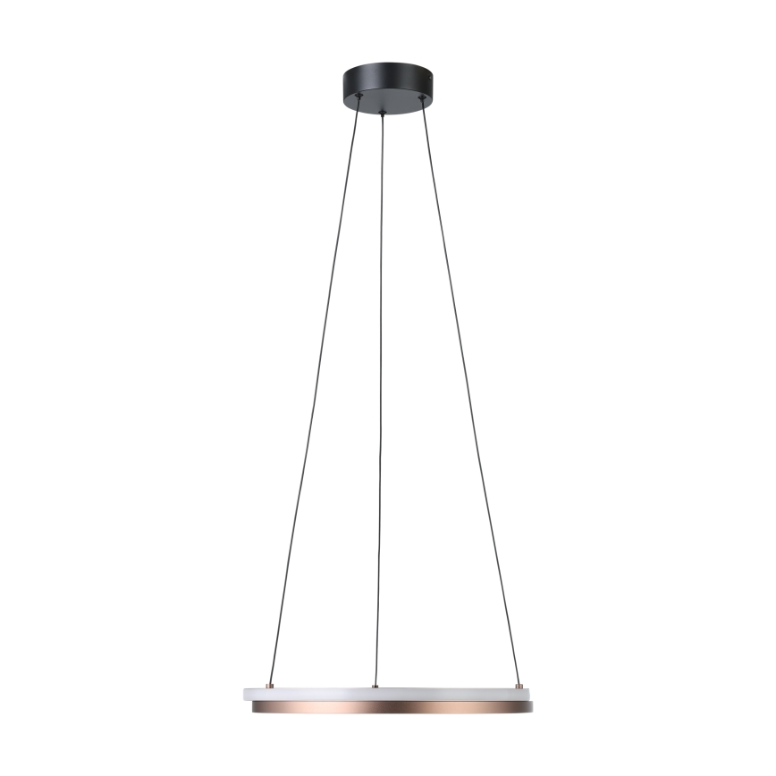 Eglo - LED Stmívatelný lustr na lanku 2xLED/20W/230V 2700-6500K pr. 48 cm bronzová + dálkové ovládání