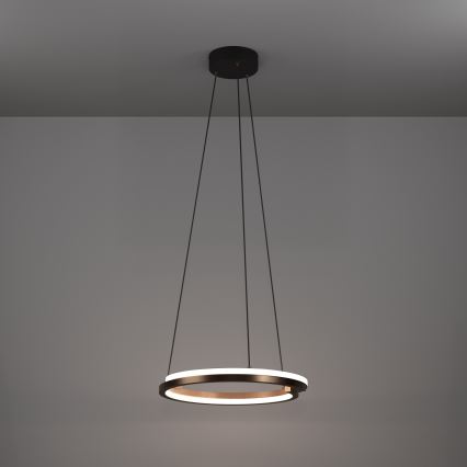 Eglo - LED Stmívatelný lustr na lanku 2xLED/20W/230V 2700-6500K pr. 48 cm bronzová + dálkové ovládání