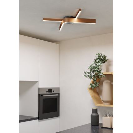 Eglo - LED RGBW Stmívatelné stropní svítidlo 2xLED/18W/230V měděná/černá