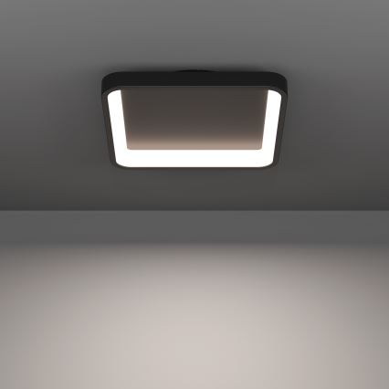 Eglo - LED RGBW Stmívatelné stropní svítidlo LED/20W/230V 2700-6500K 35x35 cm černá