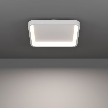 Eglo - LED RGBW Stmívatelné stropní svítidlo LED/20W/230V 2700-6500K 35x35 cm bílá