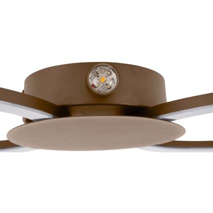 Eglo - LED Nástěnné svítidlo LED/20W/230V + LED/0,91W béžová