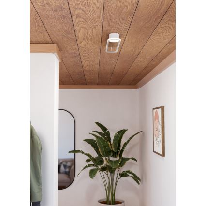 Eglo - LED Stropní svítidlo LED/24W/230V 2700/4000/6500K bílá