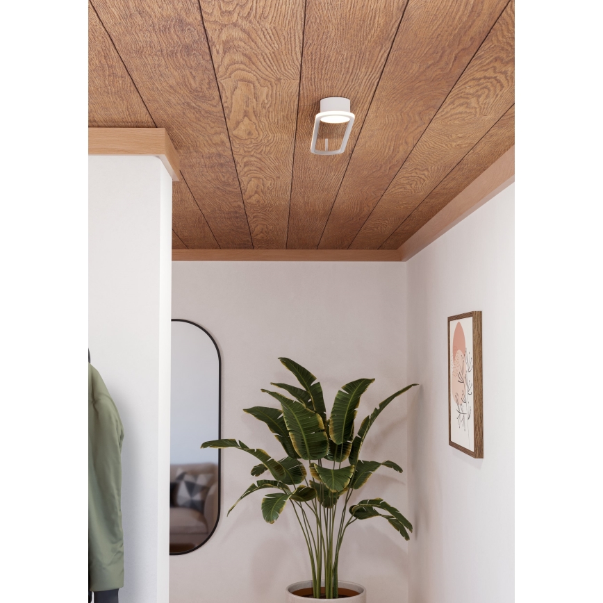 Eglo - LED Stropní svítidlo LED/24W/230V 2700/4000/6500K bílá