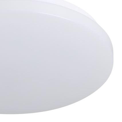 Eglo - LED RGBW Stmívatelné stropní svítidlo LED/12W/230V pr. 31cm
