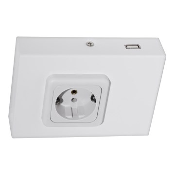 Eglo 94665 - Podlinková zásuvka SCHUKO vč. USB TAXANO