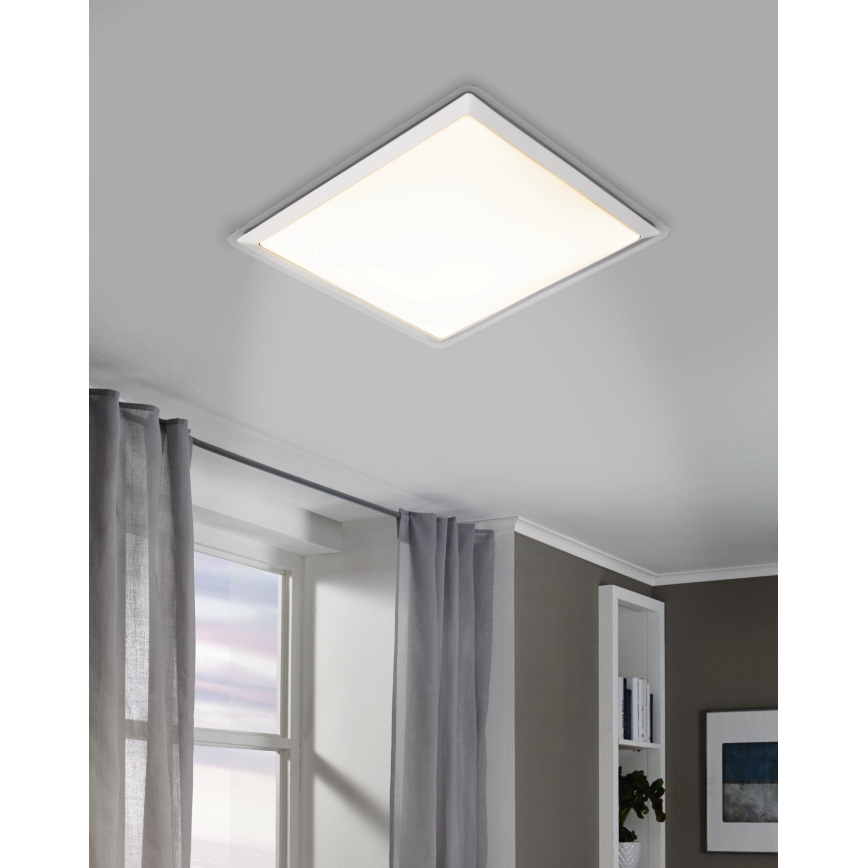 Eglo - LED stropní svítidlo LED/24W/230V