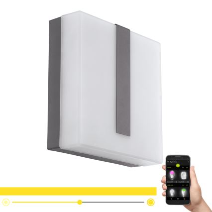 Eglo - LED Stmívatelné venkovní nástěnné svítidlo TORAZZA-C LED/14W/230V IP44