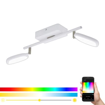 Eglo 97692 - LED RGB Bodové svítidlo PALOMBARE-C 2xLED/5W/230V