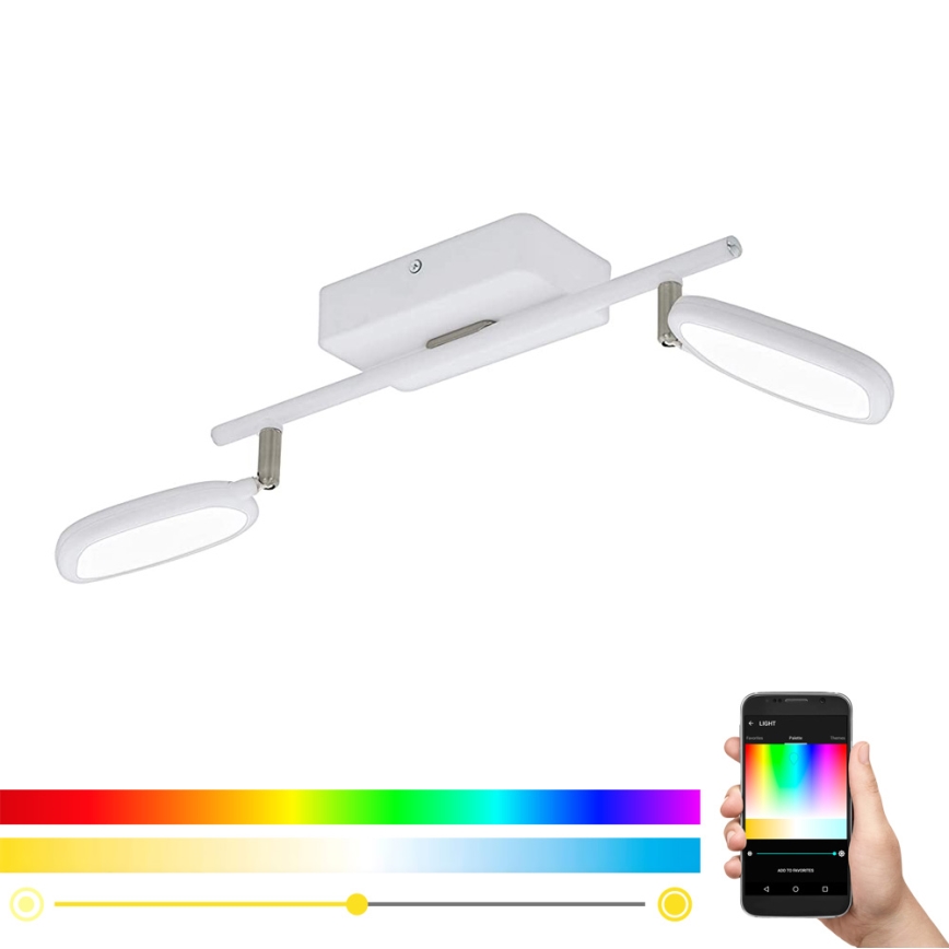 Eglo 97692 - LED RGB Bodové svítidlo PALOMBARE-C 2xLED/5W/230V