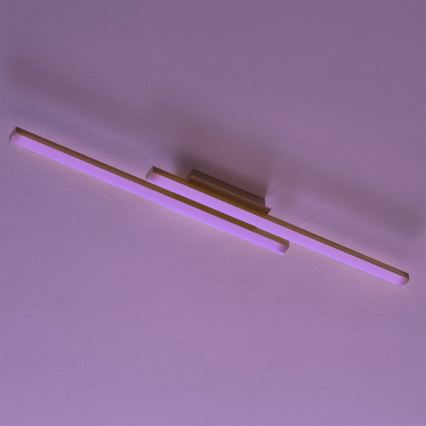 Eglo - LED RGBW Stmívatelný přisazený lustr FRAIOLI-C LED/34W/230V 2700-6500K