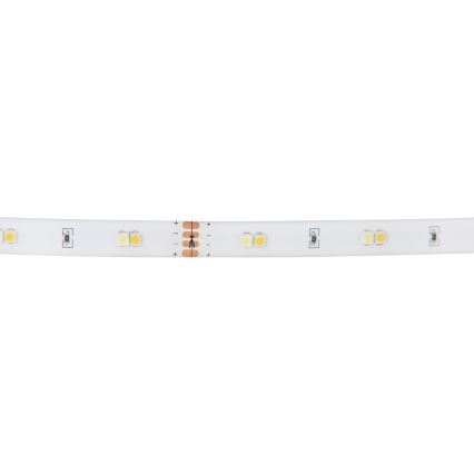 Eglo - RGB LED Stmívatelný pásek LED/10W/230V IP20 2m