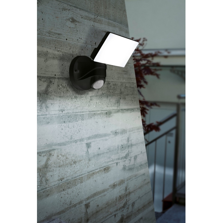Eglo - LED Venkovní nástěnné svítidlo se senzorem LED/15W/230V IP44