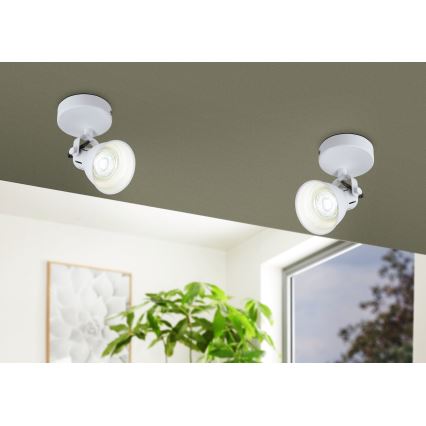Eglo - LED Nástěnné bodové svítidlo 1xGU10/3,3W/230V