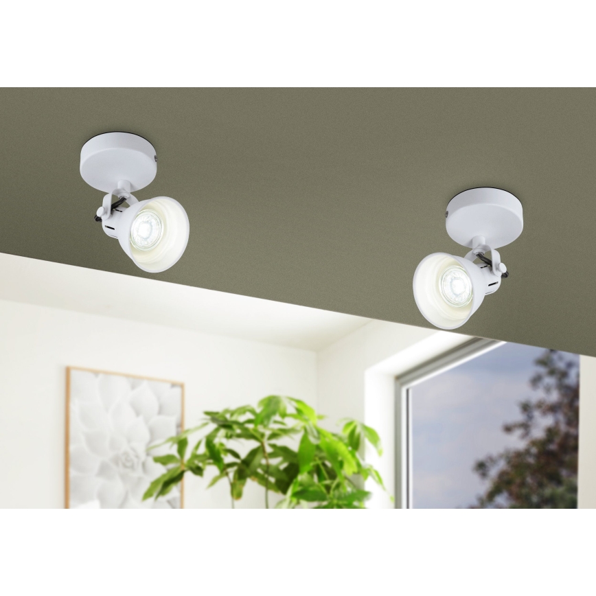 Eglo - LED Nástěnné bodové svítidlo 1xGU10/3,3W/230V