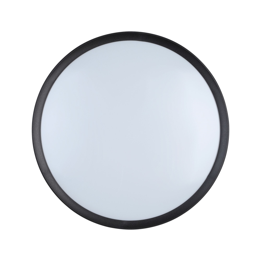 Eglo - LED Stropní svítidlo LED/16,8W/230V