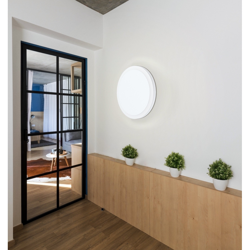 Eglo - LED Stropní svítidlo LED/8,6W/230V