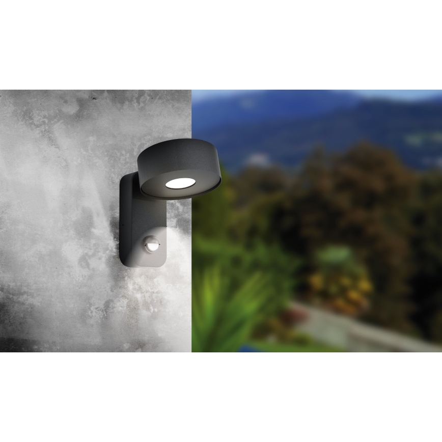 Eglo - LED Venkovní nástěnné svítidlo se senzorem LED/6W/230V IP44