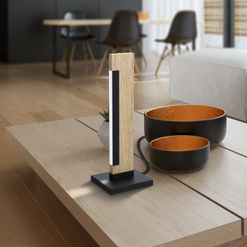 Eglo 99295 - LED Stmívatelná stolní lampa CAMACHO LED/6,5W/230V