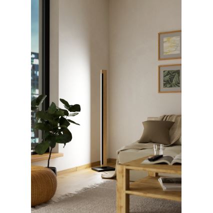 Eglo - LED Stmívatelná dotyková stojací lampa CAMACHO LED/22W/230V