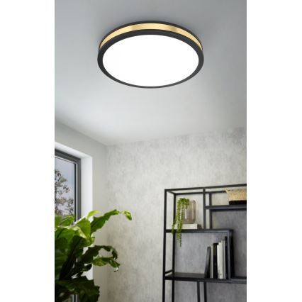 Eglo - LED Stropní svítidlo LED/24W/230V
