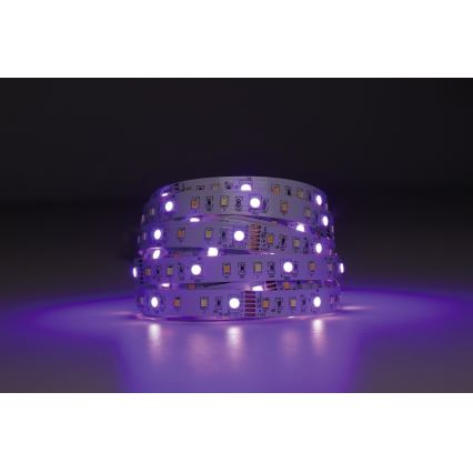 Eglo - LED RGBW Stmívatelný pásek 5m LED/11W/12/230V 2700-6500K ZigBee