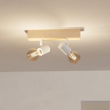 Eglo - Bodové svítidlo TOWNSHEND 2xE27/60W/230V