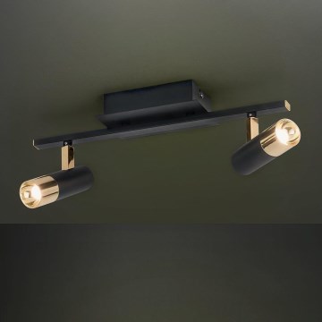 Eglo - LED bodové svítidlo 2xLED/5W/230V/12V