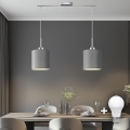 Eglo - LED  Lustr na lanku TUNJA 2xE27/60W/230V šedá