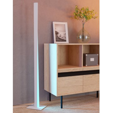 Eglo - LED RGBW Stmívatelná stojací lampa LED/10,5W/230V + LED/15,2W šedá