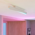 Eglo - LED RGBW Stmívatelné stropní svítidlo LED/13W/230V 2700-6500K šedá