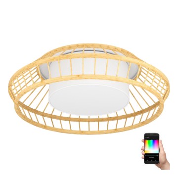 Eglo - LED RGBW Stmívatelné stropní svítidlo LED/22W/230V 2700-6500K