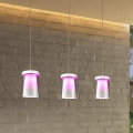 Eglo - LED RGBW Stmívatelný lustr na lanku 3xLED/3,7W/230V 2700-6500K bílá ZigBee