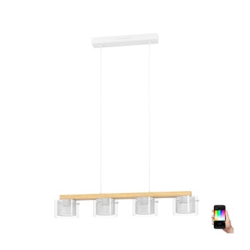 Eglo - LED RGBW Stmívatelný lustr na lanku 4xLED/3,7W/230V 2700-6500K