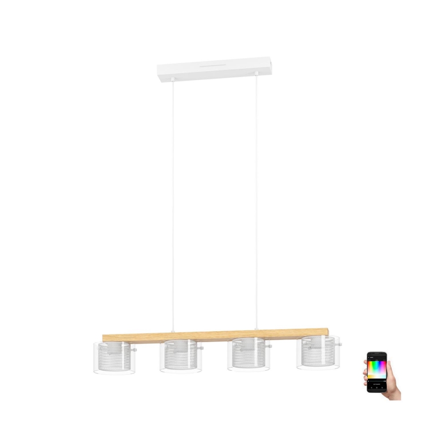 Eglo - LED RGBW Stmívatelný lustr na lanku 4xLED/3,7W/230V 2700-6500K