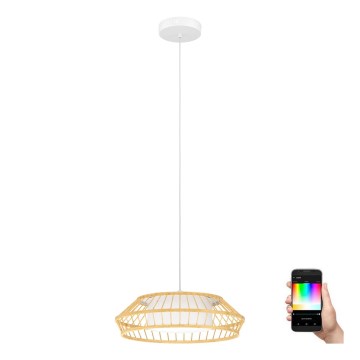 Eglo - LED RGBW Stmívatelný lustr na lanku LED/22W/230V 2700-6500K
