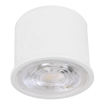 Eglo - LED RGBW Stmívatelný modul LED/4,7W/230V 2700-6500K