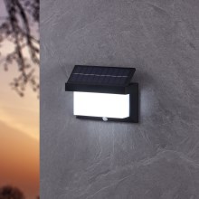 Eglo - LED Solární nástěnné svítidlo se senzorem LED/3,84W/3,7V IP44