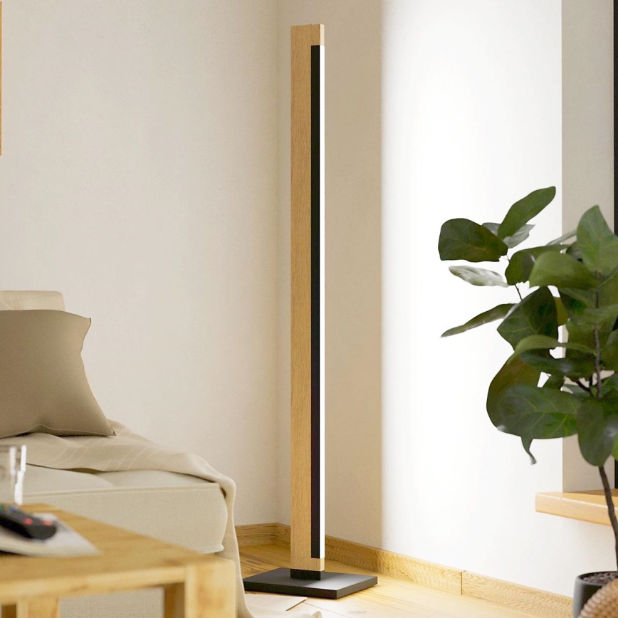 Eglo - LED Stmívatelná dotyková stojací lampa CAMACHO LED/22W/230V