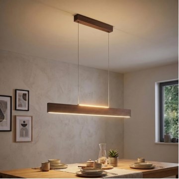 Eglo - LED Stmívatelný lustr na lanku LED/21W/230V + LED/8,4W ořech