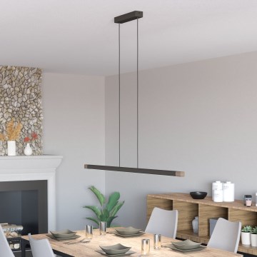 Eglo - LED Stmívatelný lustr na lanku LED/22W/230V 3000K