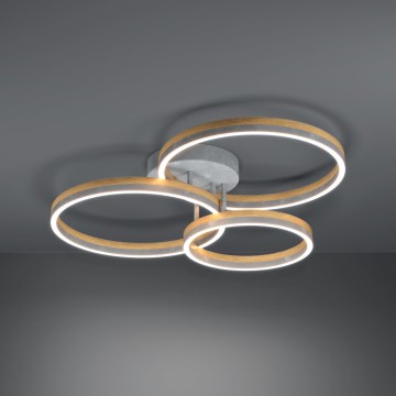 Eglo - LED Stmívatelný přisazený lustr LED/12,5W/230V + 2xLED/15,5W 3000K šedá/dub