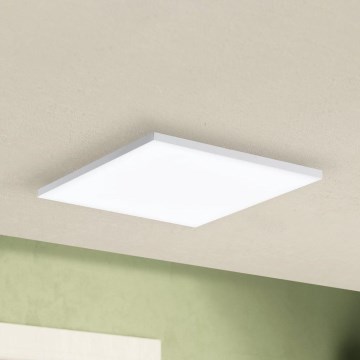 Eglo - LED Stropní svítidlo LED/10,8W/230V