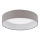 Eglo - LED stropní svítidlo LED/12W/230V