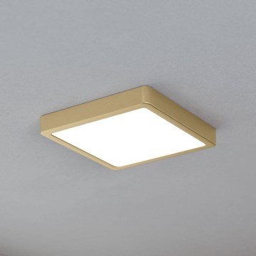 Eglo - LED Stropní svítidlo LED/17W/230V 21x21 cm