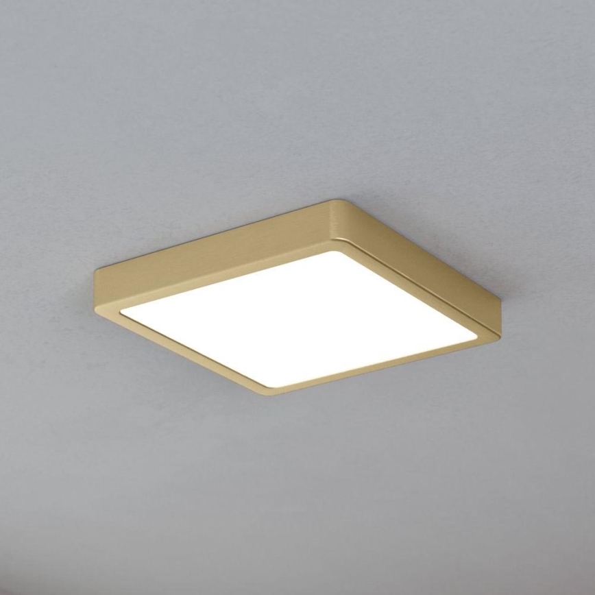 Eglo - LED Stropní svítidlo LED/17W/230V 21x21 cm