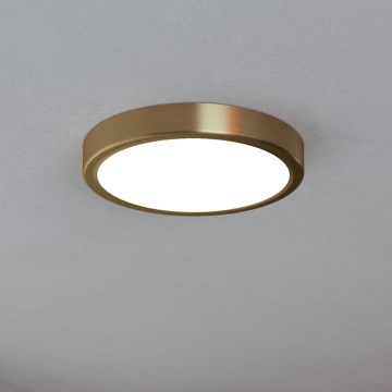 Eglo - LED Stropní svítidlo LED/17W/230V pr. 21 cm pr. 21 cm