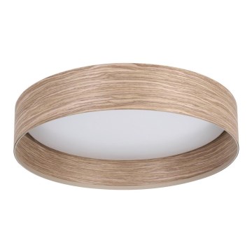 Eglo - LED Stropní svítidlo LED/24W/230V