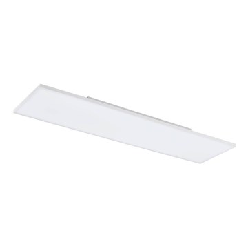 Eglo - LED Stropní svítidlo LED/31,5W/230V