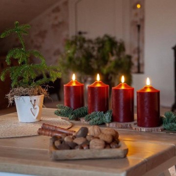 Eglo - LED Vánoční dekorace LED/0,03W/2xAA